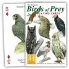 Birds of Prey Playing Cards