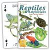 Reptiles and Amphibians Playing Cards
