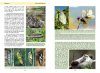 La Vie des Papillons: Ecologie, Biologie et Comportement des Rhopalocères de France [The Life of Butterflies: Ecology, Biology and Behaviour of the Rhopalocera of France]