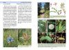 La Vie des Papillons: Ecologie, Biologie et Comportement des Rhopalocères de France [The Life of Butterflies: Ecology, Biology and Behaviour of the Rhopalocera of France]
