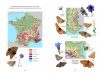La Vie des Papillons: Ecologie, Biologie et Comportement des Rhopalocères de France [The Life of Butterflies: Ecology, Biology and Behaviour of the Rhopalocera of France]