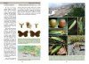 La Vie des Papillons: Ecologie, Biologie et Comportement des Rhopalocères de France [The Life of Butterflies: Ecology, Biology and Behaviour of the Rhopalocera of France]