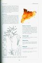 Llibre Vermell de les Plantes Endèmiques i Amenaçades de Catalunya [Red Book of Endangered and Endemic Plants of Catalonia]