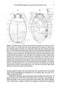 ZooKeys 476: The New World Whirligig Beetles of the Genus Dineutus Macleay, 1825 (Coleoptera, Gyrinidae, Gyrininae, Dineutini)