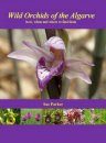 Wild Orchids of the Algarve