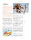 Atlas van de Nederlandse Zoogdieren [Atlas of Dutch Mammals]