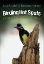 Birding Hot Spots of Santa Fe, Taos, & Northern New Mexico