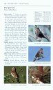Guide to the Birds of Alaska