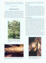 Compendium of Coffee Diseases and Pests