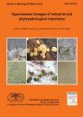 Hypocrealean Lineages of Industrial and Phytopathological Importance