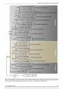 Hypocrealean Lineages of Industrial and Phytopathological Importance