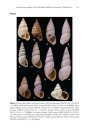 ZooKeys 392: Annotated Type Catalogue of the Bulimulidae (Mollusca, Gastropoda, Orthalicoidea) in the Natural History Museum, London