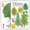 Trees Playing Cards