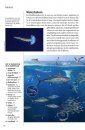 Natuurgids Middellandse Zee [Marine Wildlife of the Mediterranean]