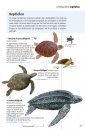 Natuurgids Middellandse Zee [Marine Wildlife of the Mediterranean]