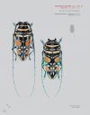 Katalog und Fotoatlas der Bockkäfer Äthiopiens (Coleoptera, Cerambycidae) [Catalogue and Picture Atlas of the Longhorn Beetles of Ethiopia]