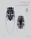 Katalog und Fotoatlas der Bockkäfer Äthiopiens (Coleoptera, Cerambycidae) [Catalogue and Picture Atlas of the Longhorn Beetles of Ethiopia]