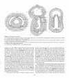 Atlas of Comparative Invertebrate Embryology, Volume 2: Hemichordata (Enteropneusta, Pterobranchia)