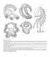 Atlas of Comparative Invertebrate Embryology, Volume 3: Lophophorata (Phoronida, Brachiopoda, Bryozoa)