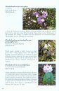 Field Guide to the Flora and Fauna of the Golden Monkey National Park / Baimaxueshan Nature Reserve, Yunnan, China