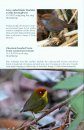 Field Guide to the Flora and Fauna of the Golden Monkey National Park / Baimaxueshan Nature Reserve, Yunnan, China