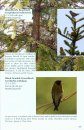 Field Guide to the Flora and Fauna of the Golden Monkey National Park / Baimaxueshan Nature Reserve, Yunnan, China