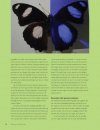 Het Grote Vlinderboek: Een Nieuwe Kijk op Kleuren, Patronen en Overlevingsstrategieën [Seeing Butterflies: New Perspectives on Colour, Patterns & Mimicry]