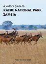 A Visitor's Guide to Kafue National Park, Zambia