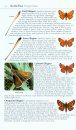 Collins Complete Guide to British Butterflies & Moths