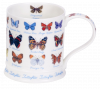 Butterfly Field Guide Mug