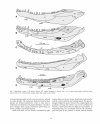 Handbook of Paleoherpetology, Part 3A2: Temnospondyli I