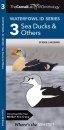 Cornell Lab of Ornithology Waterfowl ID: #3 Sea Ducks & Others