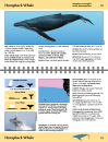 Guide to Marine Mammals and Turtles of the U.S. Pacific