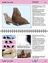 Guide to Marine Mammals and Turtles of the U.S. Pacific