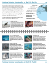 Guide to Marine Mammals and Turtles of the U.S. Pacific