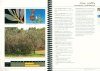 Burdekin Delta Tree Guide