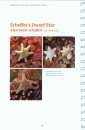 Field Guide to Sea Stars of the Aleutian Islands