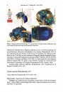 ZooKeys 486: Annotated Type Catalogue of the Chrysididae (Insecta, Hymenoptera) Deposited in the Collection of Radoszkowski in the Polish Academy of Sciences, Kraków