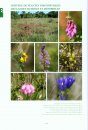 L’Atlas de la Flore de Maine-et-Loire [The Atlas of the Flora of Maine-et-Loire]