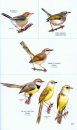 Birds of Botswana