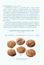 Palaeovertebrata Sinica, Volume 2: Amphibians, Reptilians and Avians, Fascicle 7 (Serial no. 11): Dinosaur Eggs [Chinese]