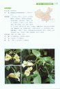 Balsaminaceae of China [Chinese]