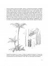 Flora del Bajío y de Regiones Adyacentes, Volume 187