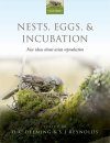 Nests, Eggs, & Incubation