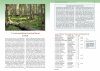 Sienet ja Metsien Luontoarvot [Mushrooms and the Natural Value of Forests]