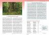 Sienet ja Metsien Luontoarvot [Mushrooms and the Natural Value of Forests]