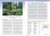 Sienet ja Metsien Luontoarvot [Mushrooms and the Natural Value of Forests]