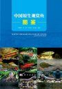 Native Ornamental Fish of China: lllustrated Book [Chinese]
