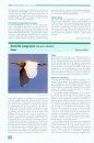 Atlas de las Aves Nidificantes en la Provincia de Alicante [Atlas of Breeding Birds in Alicante Province]
