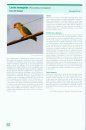 Atlas de las Aves Nidificantes en la Provincia de Alicante [Atlas of Breeding Birds in Alicante Province]